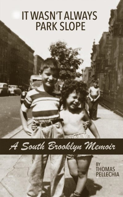Thomas Pellechia - South Brooklyn Memoir: It Wasn't Always Park Slope, E-bok