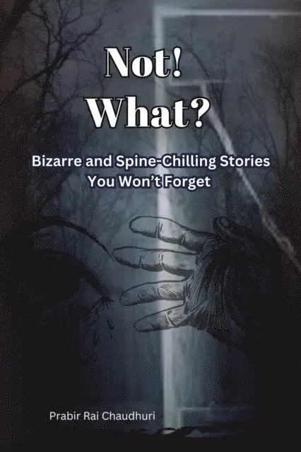 Prabir Rai Chaudhuri - Not! What?:  Bizarre and Spine-Chilling Stories You Won't Forget, E-bok. Tillgänglighet: Lägg i varukorg