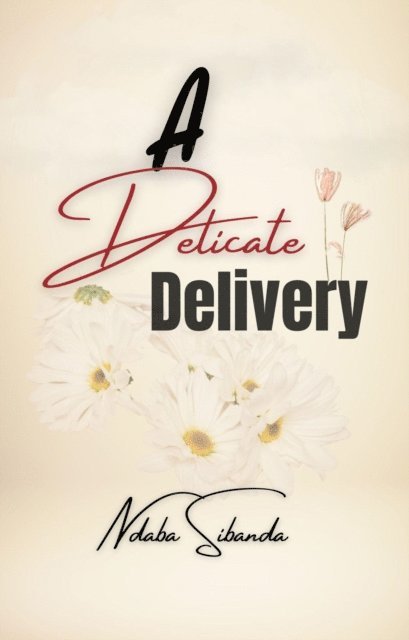 Ndaba Sibanda - Delicate Delivery, E-bok