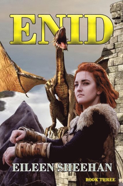 Eileen Sheehan - ENID (Book 3), E-bok