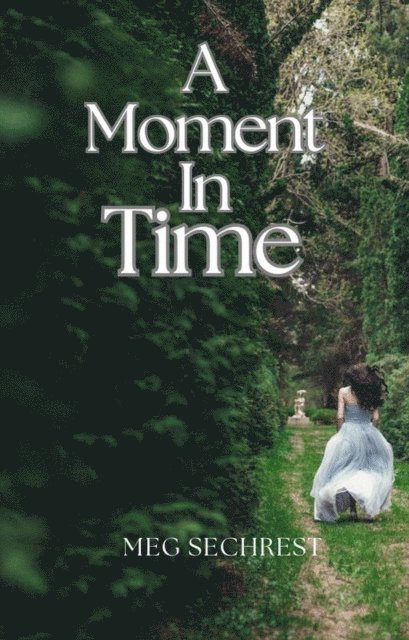 Meg Sechrest - Moment in Time, E-bok