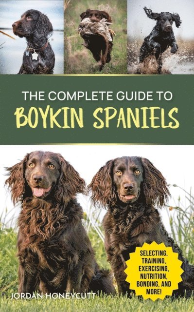 Jordan Honeycutt - Complete Guide to Boykin Spaniels, E-bok