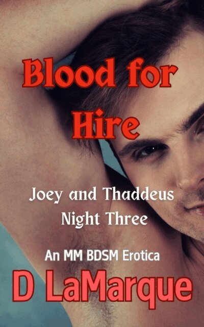 D Lamarque - Blood for Hire: Joey and Thaddeus Night Three, E-bok