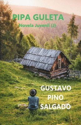 Gustavo Pino Salgado - Pipa Guleta, Häftad. Tillgänglighet: Lägg i varukorg