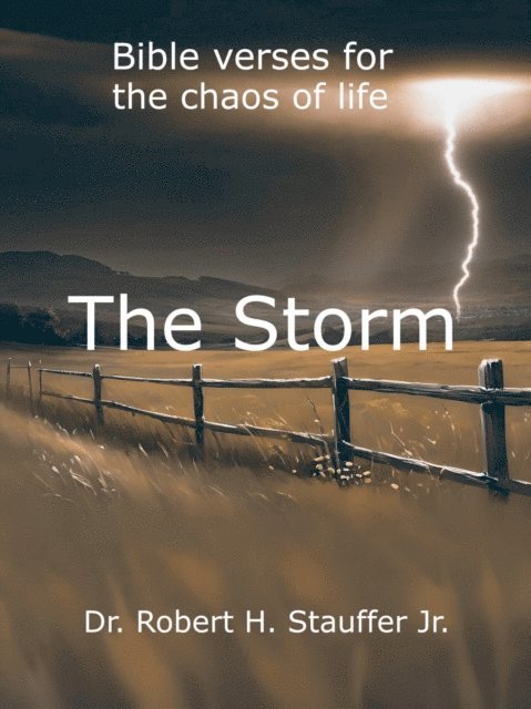 Robert Stauffer - Storm, E-bok