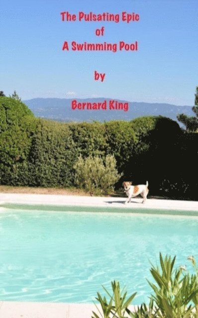 Bernard King - Pulsating Epic Of A Swimming Pool, E-bok. Tillgänglighet: Lägg i varukorg