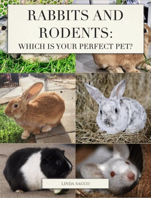 Linda Sacco - Rabbits and Rodents, E-bok. Tillgänglighet: Lägg i varukorg