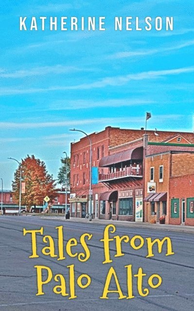 Katherine Nelson - Tales from Palo Alto, E-bok