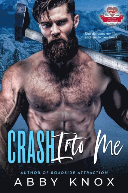 Abby Knox - Crash Into Me, E-bok