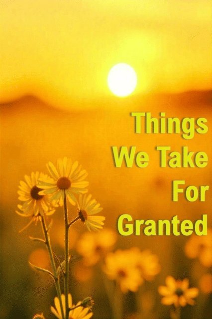 Avijit Roy - Things We Take For Granted, E-bok