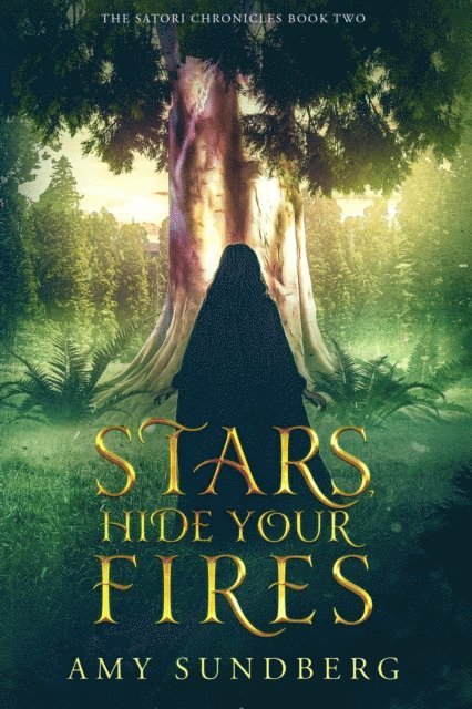 Amy Sundberg - Stars, Hide Your Fires, E-bok. Tillgänglighet: Lägg i varukorg