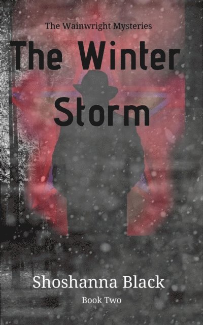 Shoshanna Black - Winter Storm, E-bok