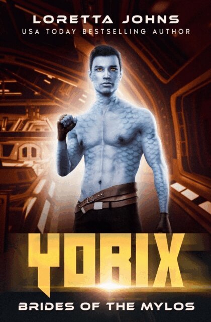 Loretta Johns - Yorix, E-bok