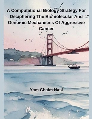 Yam Chaim Nasi - Computational Biology Strategy For Deciphering The Biomolecular And Genomic Mechanisms Of Aggressive Cancer, Häftad
