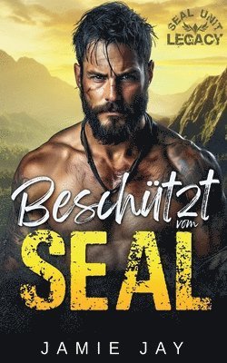 Jamie Jay - Beschützt vom SEAL, Häftad. Tillgänglighet: Lägg i varukorg