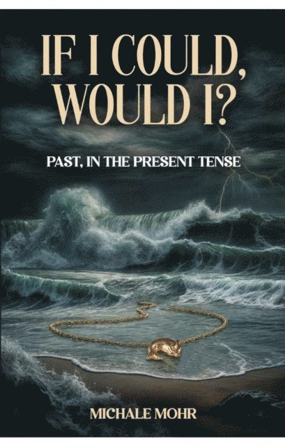 Michale Mohr - If I Could, Would I?, E-bok
