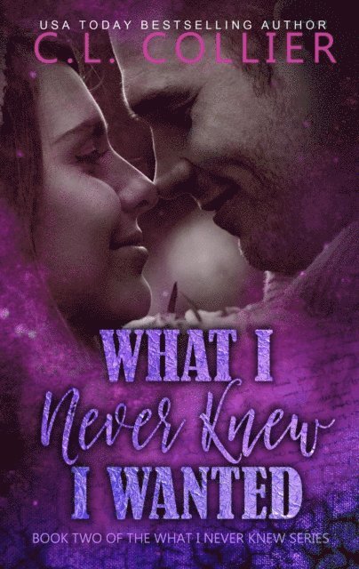 CL Collier - What I Never Knew I Wanted, E-bok