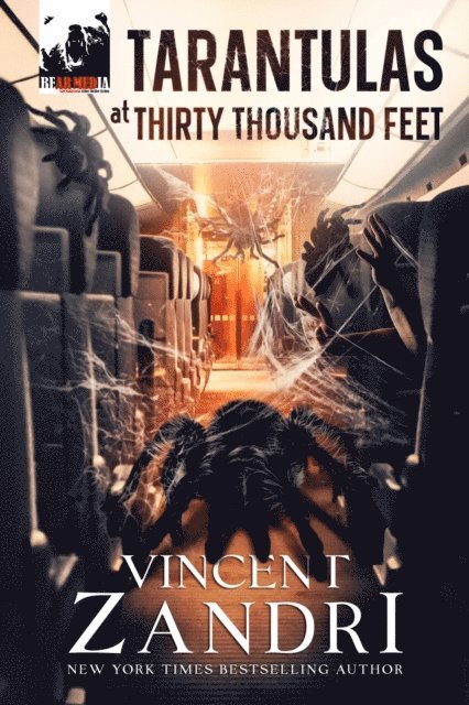 Vincent Zandri - Tarantulas at Thirty Thousand Feet, E-bok