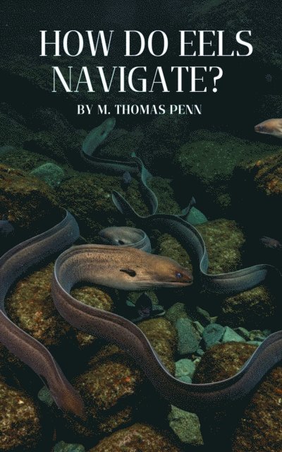 M. THOMAS PENN - How Do Eels Navigate?, E-bok