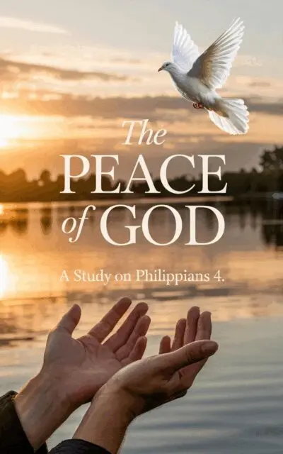 Rev. Sarah McKinney - Peace of God, E-bok. Tillgänglighet: Lägg i varukorg