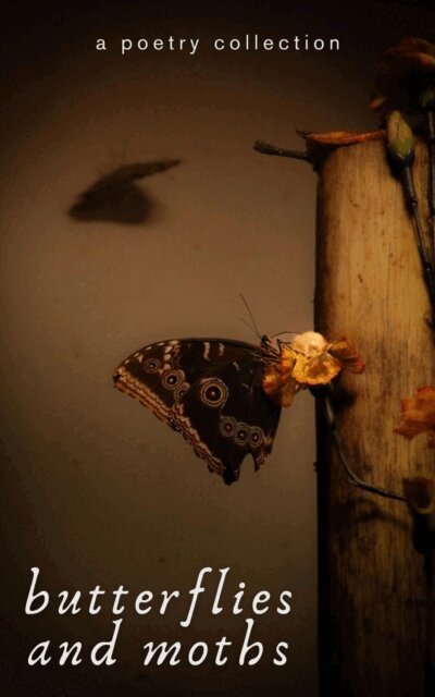 anonymous - Butterflies and Moths, E-bok