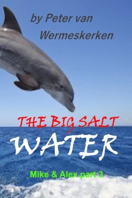 Peter van Wermeskerken - Big Salt Water, E-bok