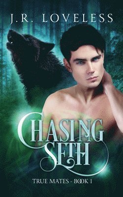 J R Loveless - Chasing Seth, Häftad
