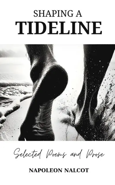 Napoleon Nalcot - Shaping A Tideline: Selected Poems and Prose, E-bok. Tillgänglighet: Lägg i varukorg