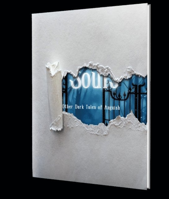 Terry Campbell - Porosity of Souls: And Other Dark Tales of Anguish, E-bok