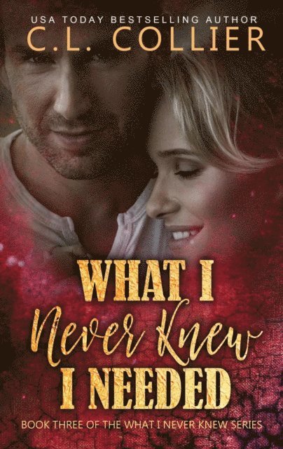 CL Collier - What I Never Knew I Needed, E-bok