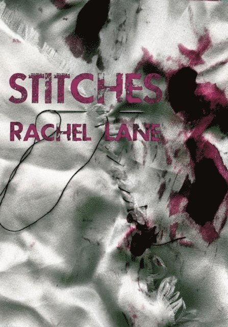 Rachel Lane - Stitches, E-bok