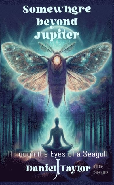 Daniel J Taylor - Somewhere Beyond Jupiter - Through the Eyes of a Seagull, E-bok