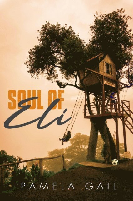 Pamela Gail - Soul of Eli, E-bok