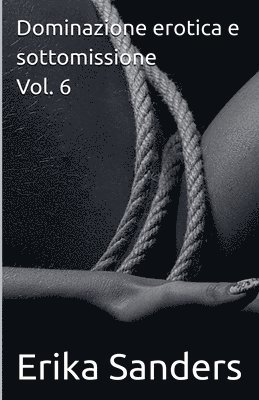 Erika Sanders - Dominazione erotica e sottomissione Vol. 6, Häftad