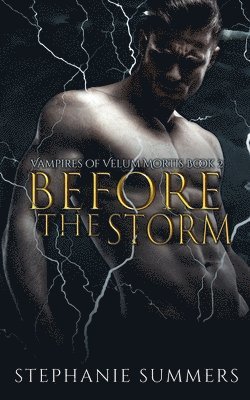 Stephanie Summers - Before the Storm, Häftad