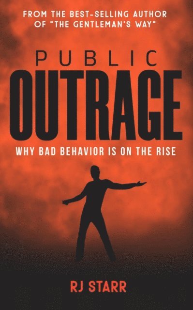 RJ Starr - Public Outrage, E-bok