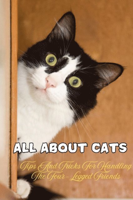 Angela Wright - all About Cats, E-bok
