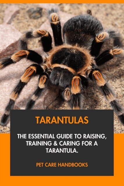 Pet Care Handbooks - Tarantulas: The Essential Guide to Raising, Training & Caring for A Tarantula., E-bok. Tillgänglighet: Lägg i varukorg