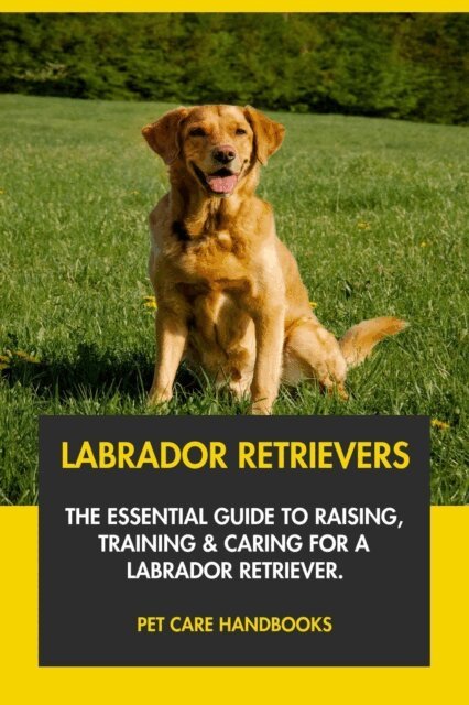Pet Care Handbooks - Labrador Retrievers: The Essential Guide to Raising, Training & Caring for A Labrador Retriever., E-bok