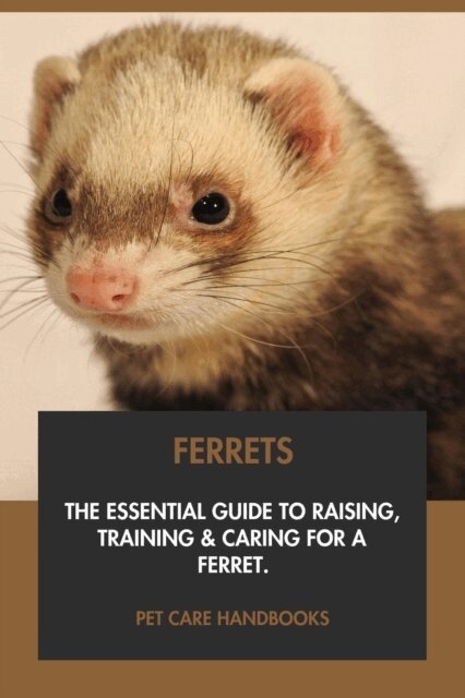 Pet Care Handbooks - Ferrets: The Essential Guide to Raising, Training & Caring for A Ferret., E-bok