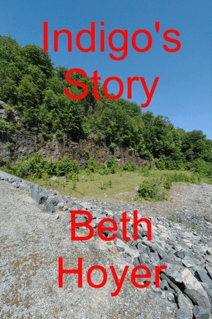 Beth Hoyer - Indigo's Story, E-bok