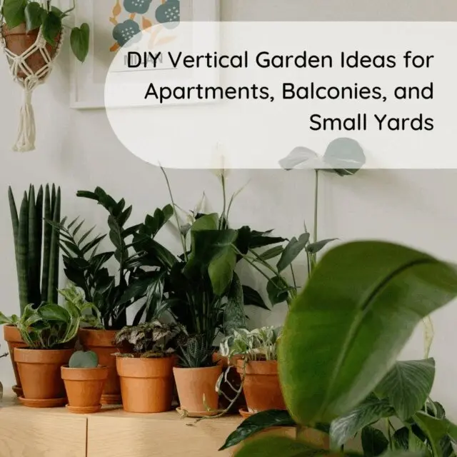 Monica Jepchumba - DIY Vertical Garden Ideas for Apartments, Balconies, and Small Yards, E-bok. Tillgänglighet: Lägg i varukorg