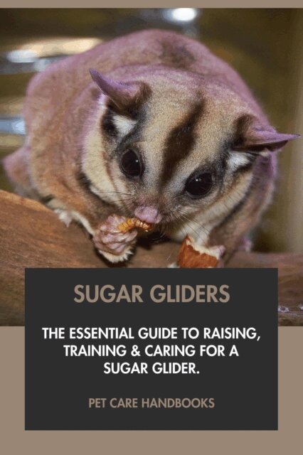 Pet Care Handbooks - Sugar Gliders: The Essential Guide to Raising, Training & Caring for A Sugar Glider., E-bok. Tillgänglighet: Lägg i varukorg