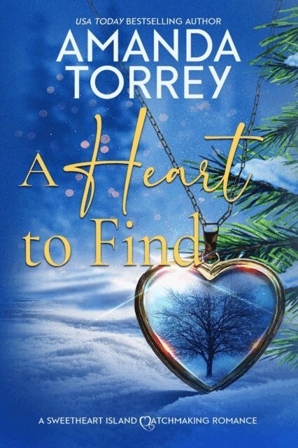 Amanda Torrey - Heart to Find, E-bok