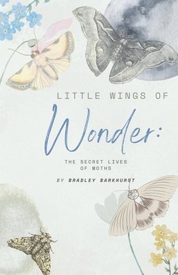 Bradley Barkhurst - Little Wings of Wonder, Häftad. Tillgänglighet: Lägg i varukorg