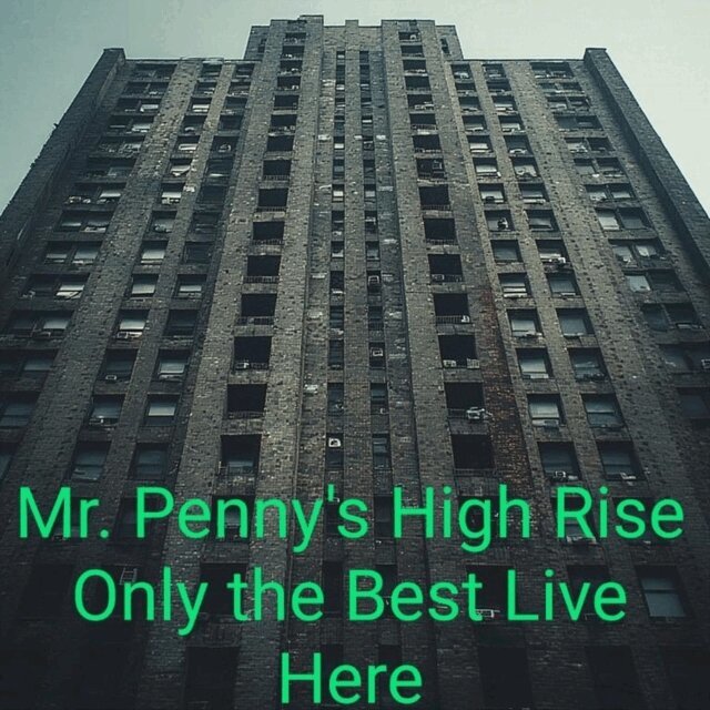 Cherylann Cook-Hoar - Mr. Penny's High Rise Only the Best Live Here, E-bok