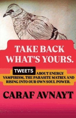 Caraf Avnayt - Take Back What's Yours, Häftad. Tillgänglighet: Lägg i varukorg