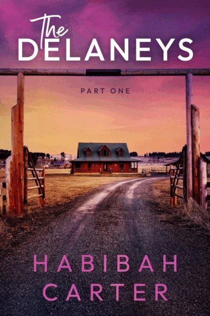 Habibah Carter - Delaneys: Part One, E-bok