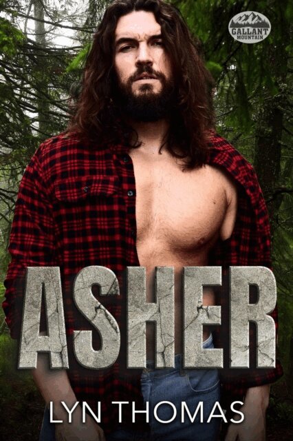 Lyn Thomas - Asher, E-bok