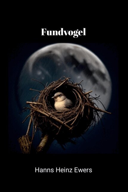 Hanns Heinz Ewers, Joe Bandel - Fundvogel, E-bok